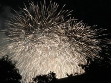 【埼玉県/さいたま市大宮区寿能町】ローヤルシティ大宮公園 眺望：大和田公園花火大会