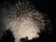 【埼玉県/さいたま市大宮区寿能町】ローヤルシティ大宮公園 眺望：さいたま市花火大会大和田公園会場