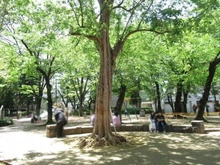 【東京都/豊島区西池袋】ザ・タワー・グランディア  西池袋公園（現地より約120m）