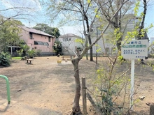 【東京都/清瀬市竹丘】コスモ・ザ・パークス清瀬の森 松山自然遊園地（現地より約800m）