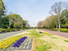 【埼玉県/所沢市小手指台】モア・ステージ西所沢 所沢航空記念公園（現地より約3,000m）