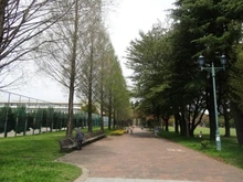 【埼玉県/入間市東町】ブランシエラ彩の森公園 彩の森公園（現地より約60m）