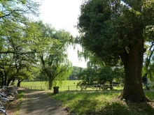【東京都/東久留米市柳窪】ロイヤルステージ小平 白山公園（現地より約850m）