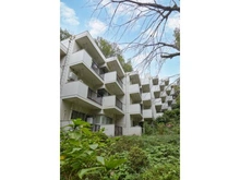 【東京都/調布市入間町】成城アトリエXＶ 外観：外観