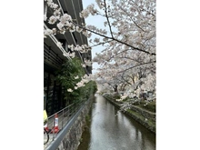 【京都府/京都市中京区河原町通二条下る】イーグルコート御池高瀬川 外観