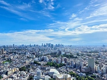 【東京都/豊島区南池袋】ブリリアタワー池袋 南向きの高層階から望む、開放感あふれる眺望。