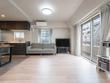 【東京都/港区南麻布】エフィーナ南麻布 【ＬＤＫ約１２．９帖】室内大変きれいにお使いです！