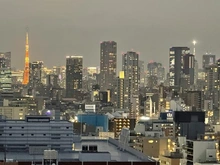 【東京都/品川区平塚】ライオンズタワー五反田 東京タワーを望む眺望