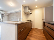 【東京都/豊島区高田】ブリリアシティ西早稲田 食洗器は新築時オプションでグレードアップしたものになっております。