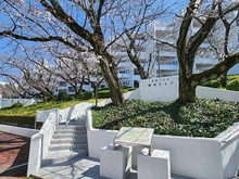 【神奈川県/横浜市青葉区桜台】桜台ビレジ4B棟 外観：■東急田園都市線「青葉台」駅徒歩１４分