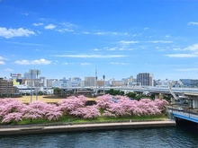 【東京都/江東区辰巳】ブリリア辰巳キャナルテラス 公園や運河の流れを楽しみながらゆったりとお過ごしいただけます。※ＡＩによる加工をしております。