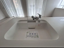 【埼玉県/川口市並木】サンデュエル川口並木 シンク