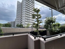 【埼玉県/さいたま市南区文蔵】ライオンズマンション南浦和 眺望