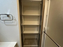 【埼玉県/さいたま市浦和区岸町】モンレーヴ浦和岸町 収納：洗面室の収納スペース