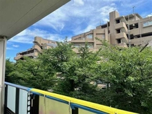 【埼玉県/蕨市南町】 ヴィークコート蕨南町桜並木 眺望