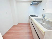 【埼玉県/さいたま市南区南本町】ライオンズマンション南浦和第2 キッチン