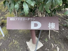 【埼玉県/越谷市赤山町】越谷ファミリータウン D棟 マンション表札