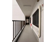 【埼玉県/さいたま市浦和区常盤】ルミナス常盤 共用部：6階部分共用廊下