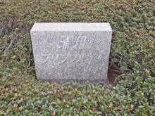 【埼玉県/さいたま市桜区町谷】浦和プリンスハイツ マンション表札
