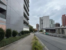 【埼玉県/さいたま市浦和区上木崎】イトーピア与野ステーションコート 前面道路
