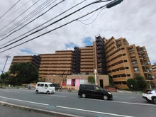 【埼玉県/さいたま市見沼区島町】ライオンズガーデン東大宮弐番館 前面道路