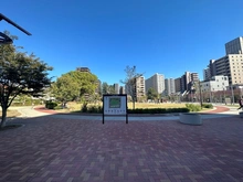 【埼玉県/さいたま市浦和区常盤】サンマンションドゥーシェ浦和常盤 常盤公園（現地より約39m）