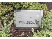 【埼玉県/さいたま市桜区町谷】グリーンミユキ中浦和2番館 マンション表札