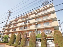 【埼玉県/さいたま市南区文蔵】南浦和第5ローヤルコーポ 外観