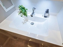 【埼玉県/越谷市七左町】レクセルガーデン蒲生 洗面室