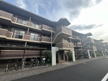 【千葉県/柏市東中新宿】新柏ガーデニア西の街四番館 外観