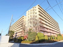 【埼玉県/三郷市半田】エフローレ新三郷 216 外観