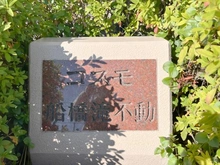 【千葉県/船橋市南三咲】コスモ船橋滝不動 マンション表札