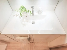 【埼玉県/三郷市高州】藤和シティコープ三郷 洗面所