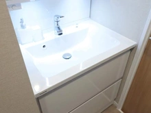 【千葉県/流山市東初石】江戸川台ハイツ D棟 洗面所