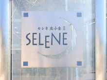 【千葉県/流山市前ケ崎】セレネ北小金2 マンション表札