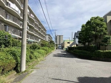 【千葉県/松戸市新松戸】サンライトパストラル参番街 B棟 前面道路