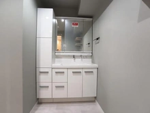 【茨城県/土浦市大和町】ソリッドタワー 洗面室