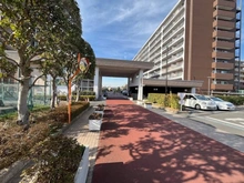 【埼玉県/草加市北谷】草加松原ハイツ B棟 アプローチ