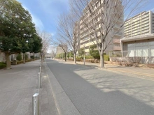 【千葉県/印西市戸神台】ローレルスクエア千葉ニュータウン F棟 前面道路