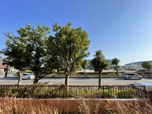 【埼玉県/吉川市きよみ野】ウッドパーク吉川きよみ野 C棟 専用庭