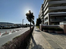 【埼玉県/吉川市きよみ野】ウッドパーク吉川きよみ野 C棟 前面道路