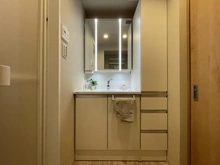 【埼玉県/春日部市上蛭田】パブリデンス春日部豊春 洗面室