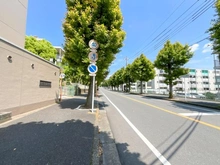 【千葉県/松戸市小金原】小金原パークハウス B棟 前面道路