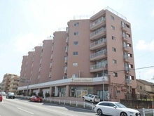 【千葉県/松戸市南花島】第二松戸グリーンハイツ 外観
