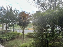 【千葉県/船橋市西船】西船橋二丁目パーク・ホームズ  眺望