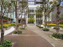 【千葉県/市川市八幡】ガレリア・サーラ アプローチ