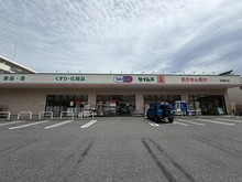 【千葉県/市川市二俣】市川ハイマンション ドラッグストアセイムス本郷町店（現地より約250m）
