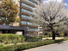 【千葉県/習志野市津田沼】グランドメゾン津田沼 共用部