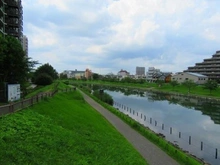 【東京都/江東区亀戸】日商岩井亀戸マンション 亀戸九丁目緑道公園（現地より約70m）：