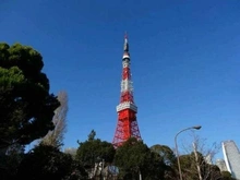 【東京都/港区芝】プラウド芝公園 東京タワー（現地より約1,300m）：